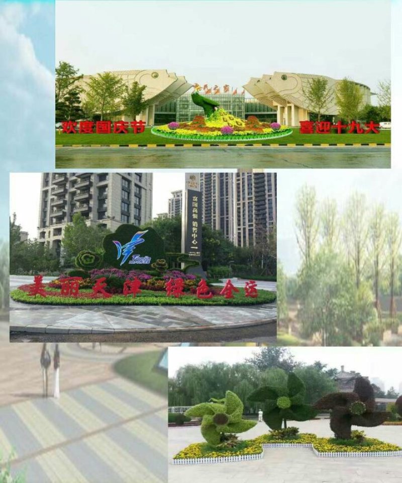 五色草造型