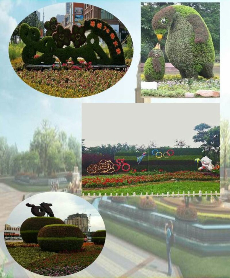 五色草造型