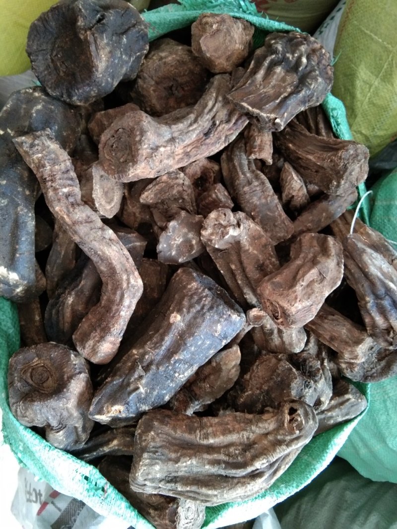 甘肃大黄批发精选新货自然晒干高含量大黄个