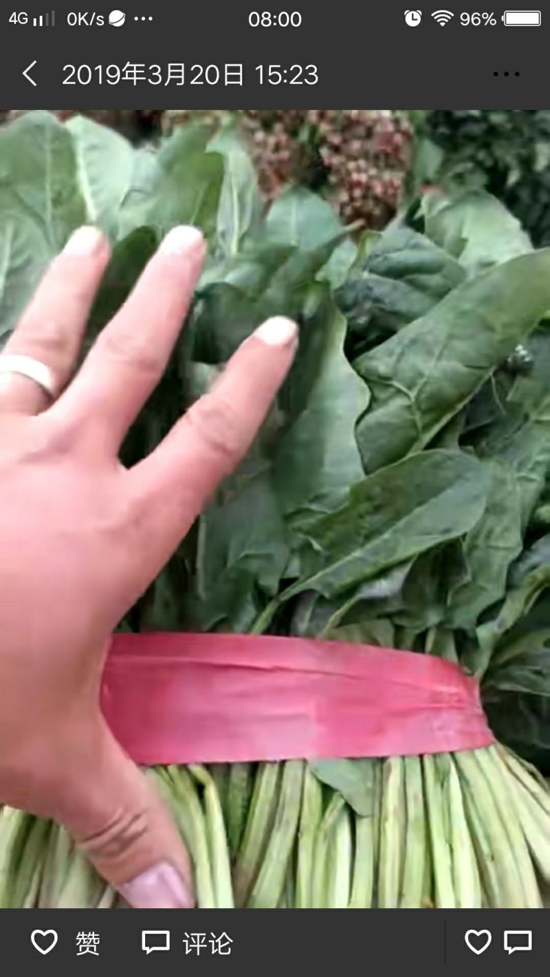 好菠菜好香菜常年帮客商代收！