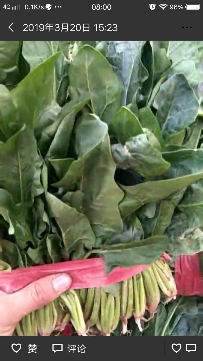 好菠菜好香菜常年帮客商代收！