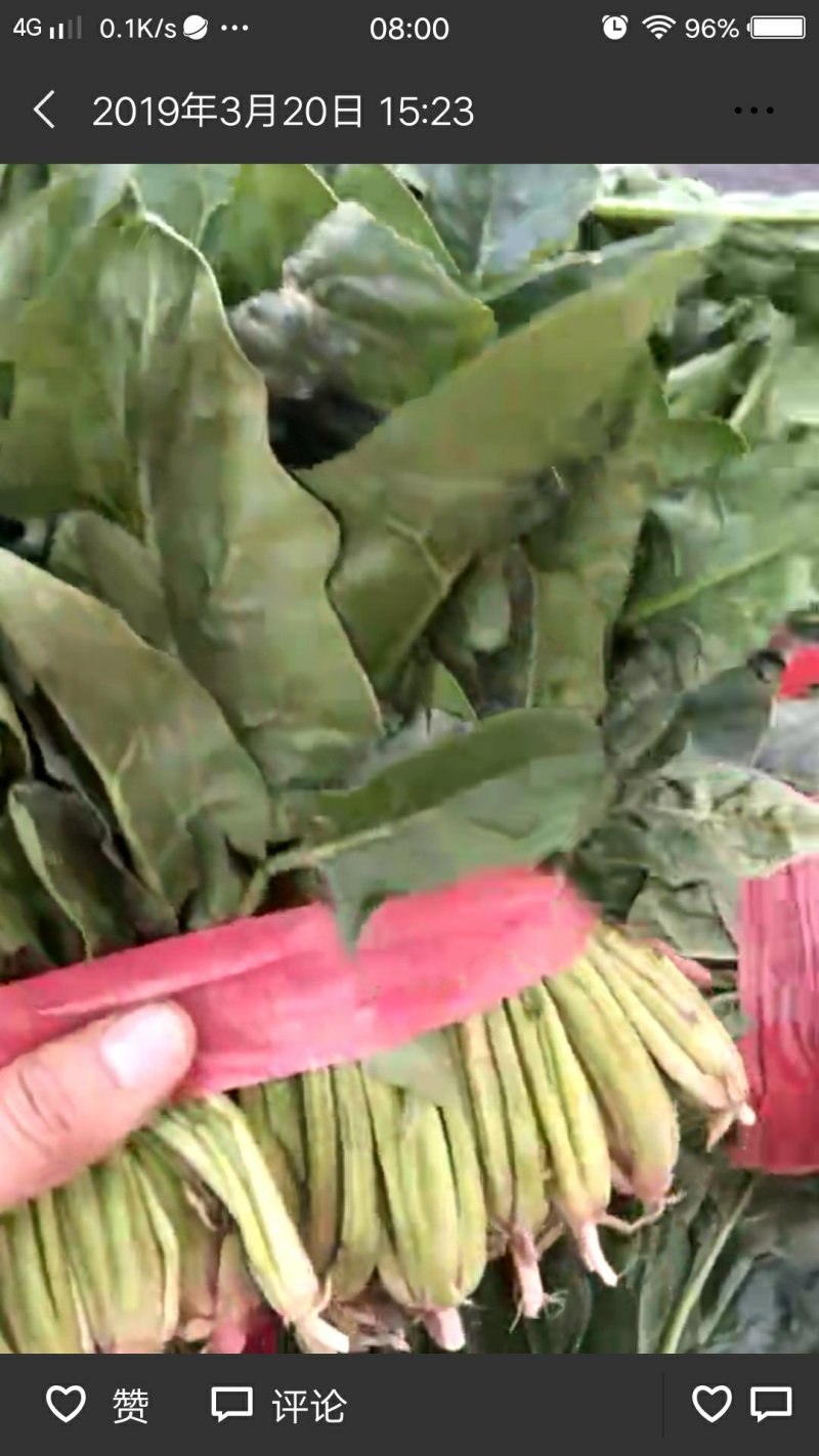 好菠菜好香菜常年帮客商代收！