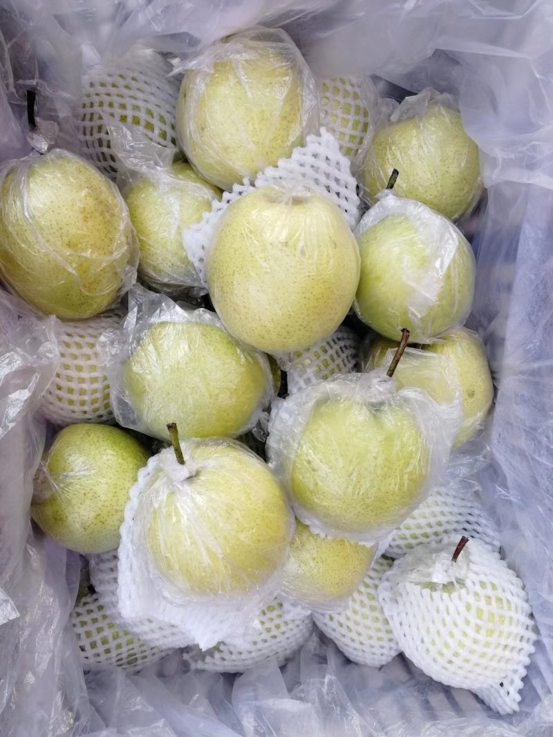 膜代皇冠