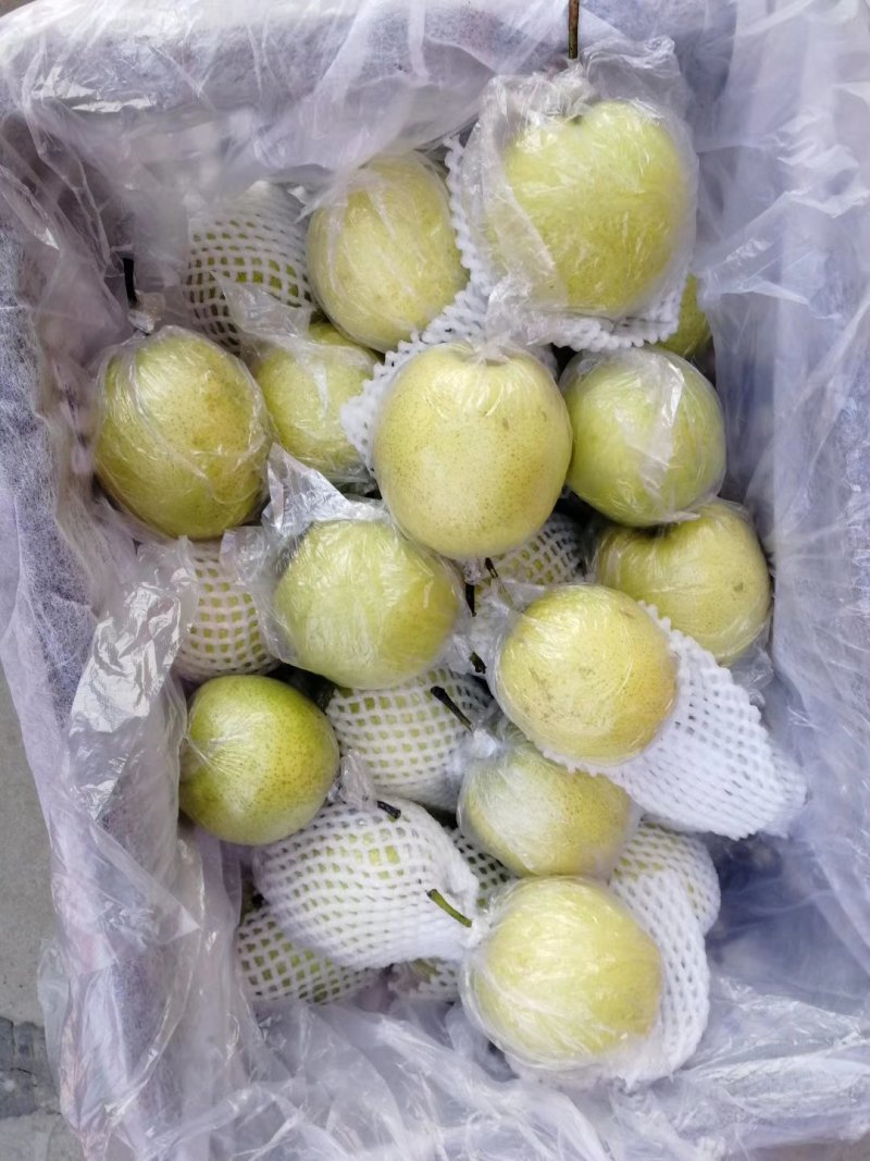 膜代皇冠
