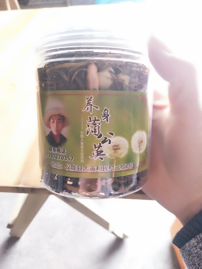 蒲公英
