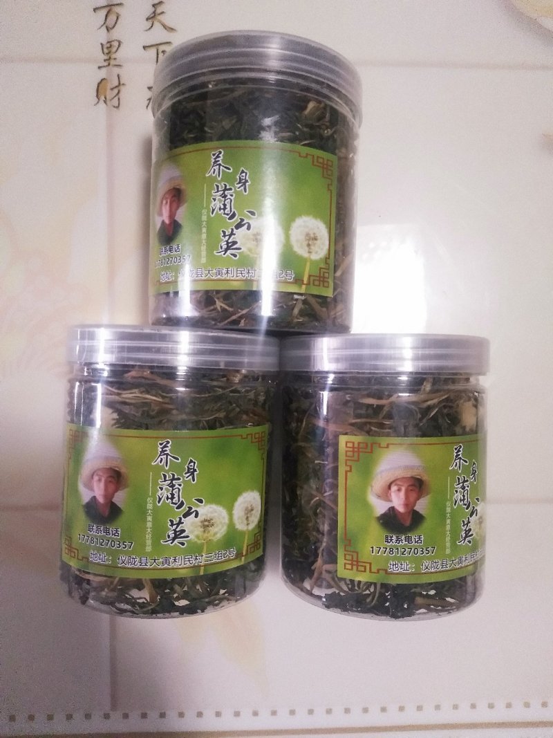 蒲公英
