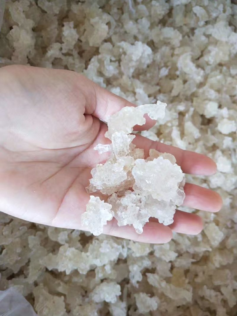 雪燕