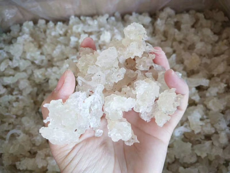 雪燕