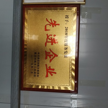 食用菌