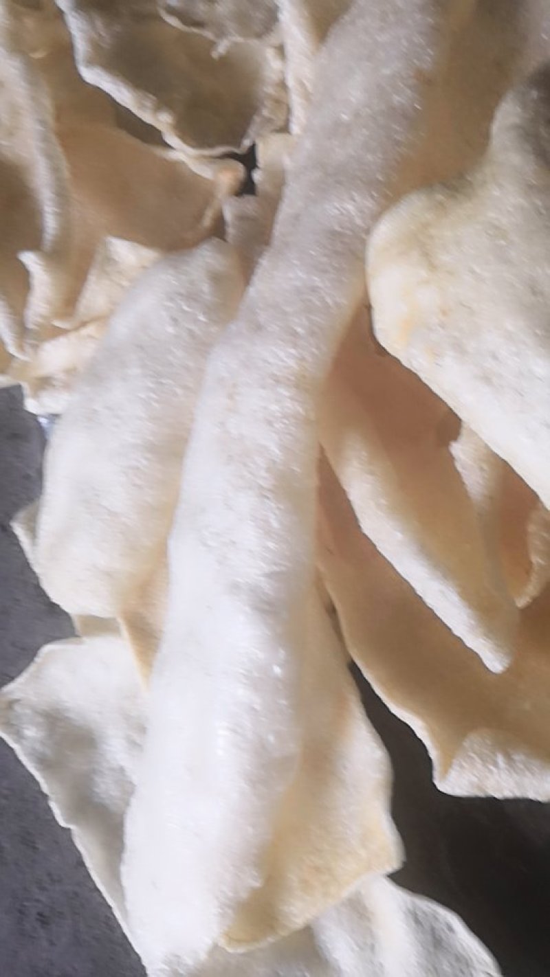 现炸干猪皮