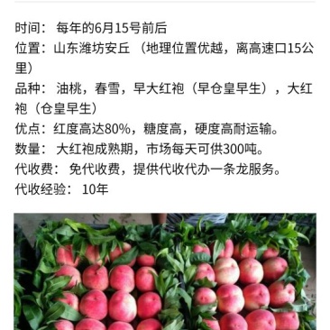 6月15好前后代收大红桃