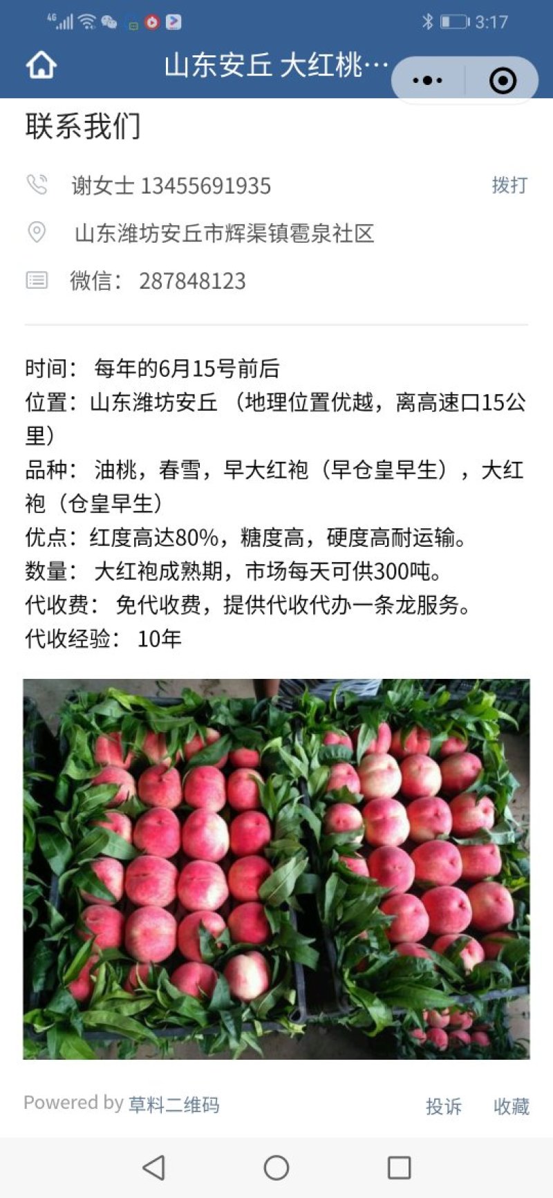 6月15好前后代收大红桃