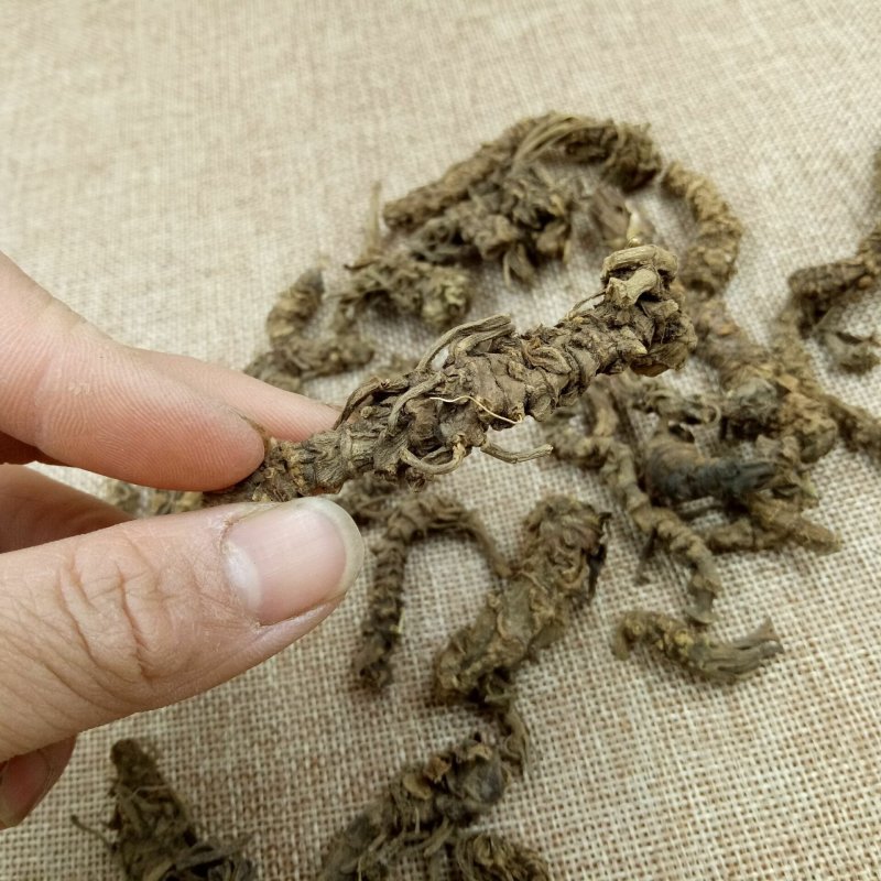 蜘蛛香缬草马蹄香土细辛干货批发零售冷背中药材