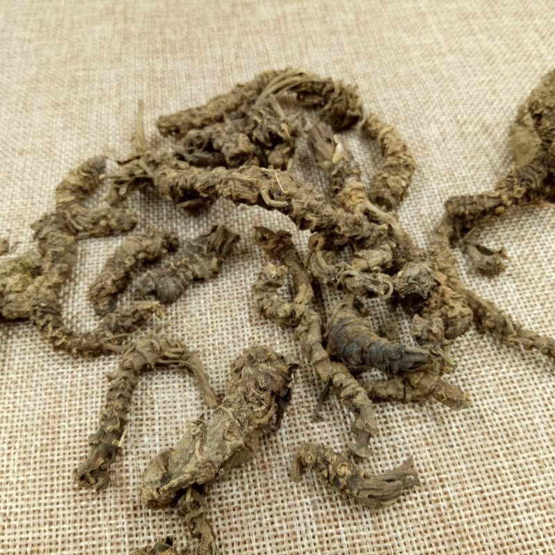 蜘蛛香缬草马蹄香土细辛干货批发零售冷背中药材