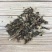 瓦松批发零售冷背中药材