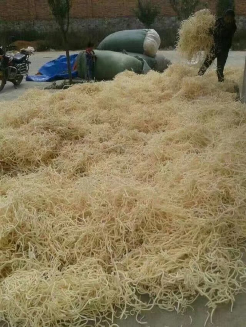 小通草