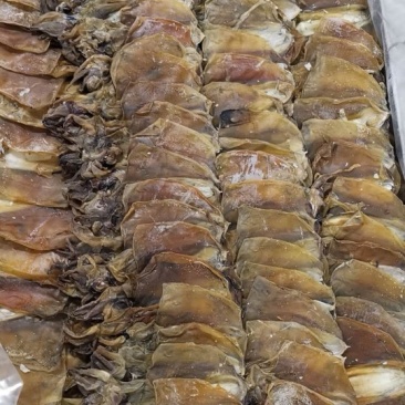 墨鱼干乌贼干