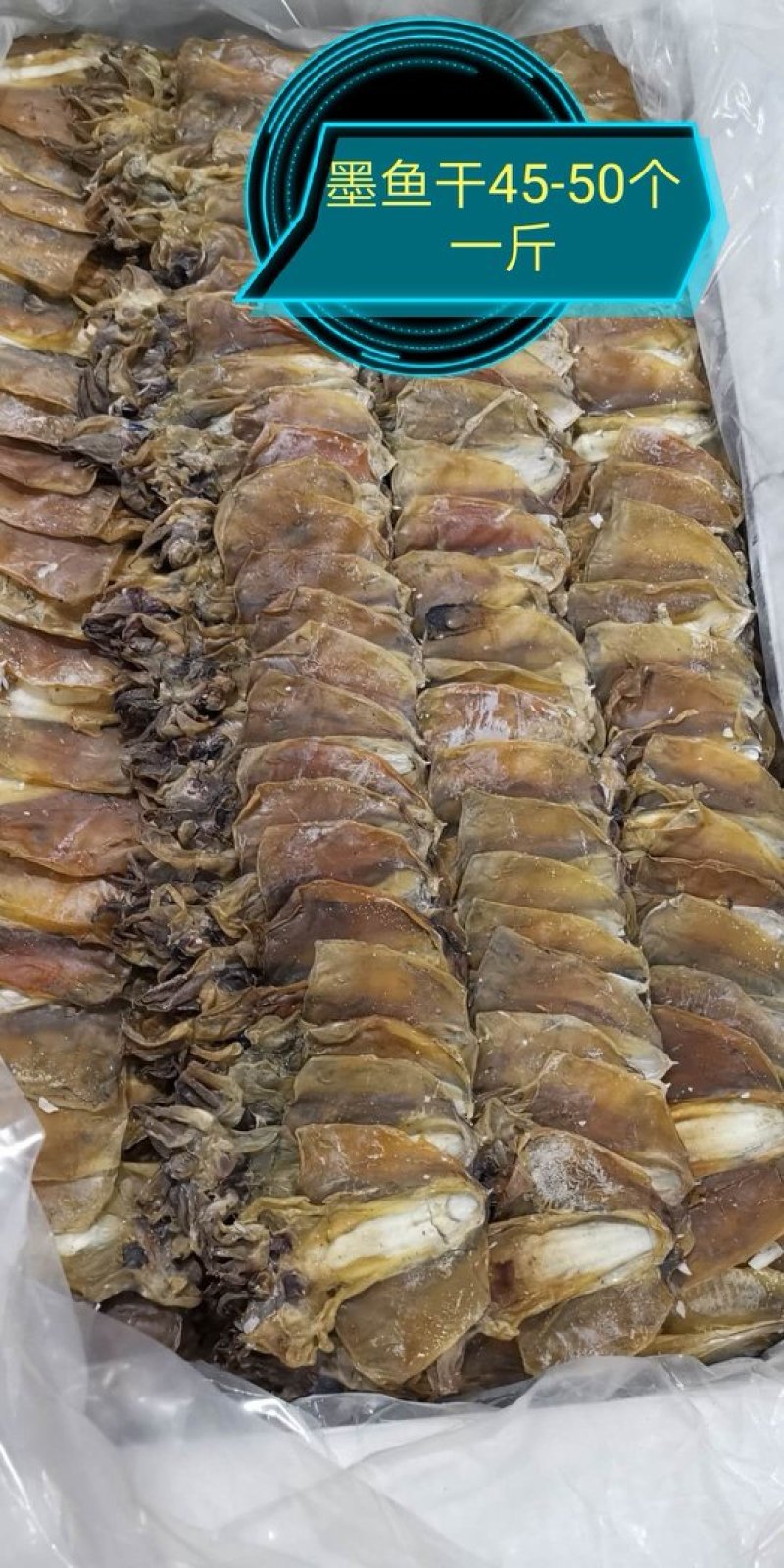 墨鱼干乌贼干