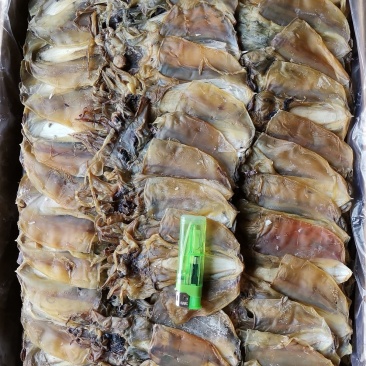 水产干货淡干墨鱼