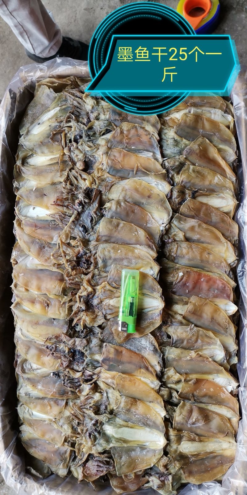 水产干货淡干墨鱼