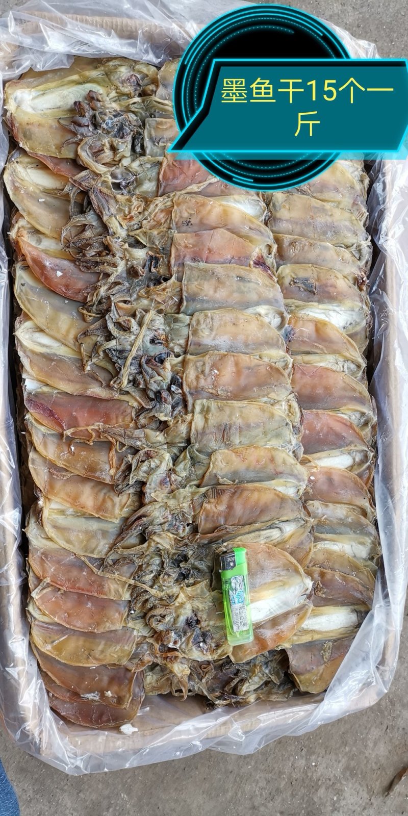 水产干货淡干墨鱼