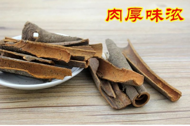 肉桂种子，玉桂种子，富贵树，桂皮种子（平南肉桂）