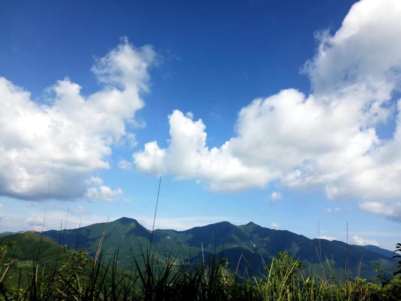 干笋