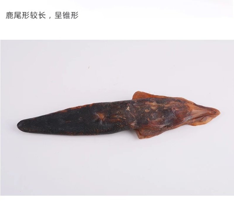 【东北三宝家梅花鹿尾】自营鹿场成年壮鹿鹿尾泡酒煲汤包邮