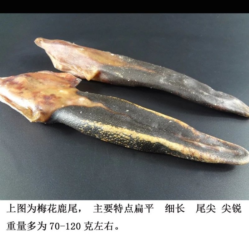 【东北三宝家梅花鹿尾】自营鹿场成年壮鹿鹿尾泡酒煲汤包邮