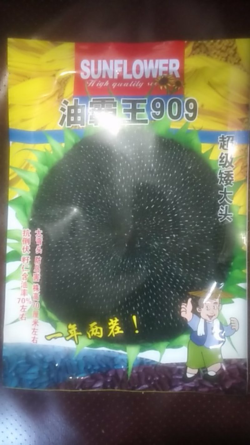 油霸王909油葵种子一袋约200克