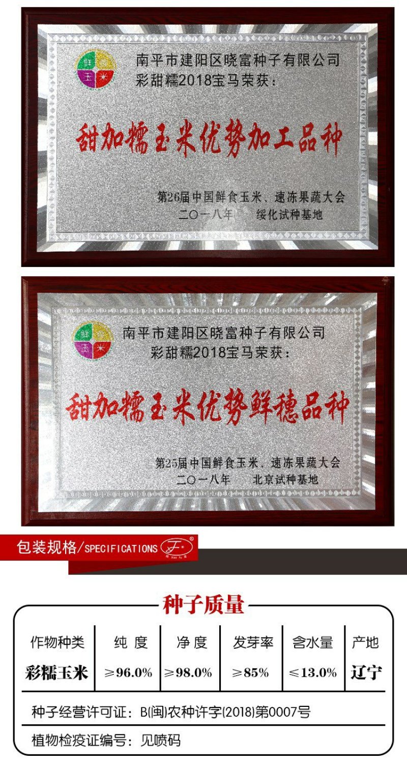 2018宝马甜糯玉米种子200克棒大饱满排列整齐皮薄