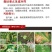 韩洲珍品黄瓜种子，耐热可越夏，高产杂交亩产可达2万公斤