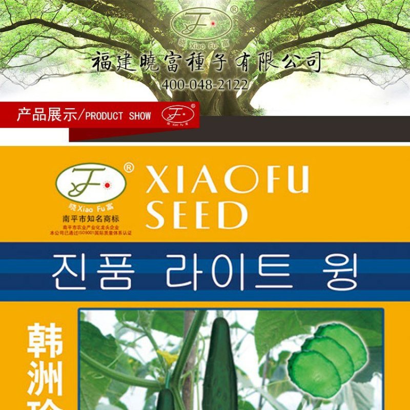 韩洲珍品黄瓜种子，耐热可越夏，高产杂交亩产可达2万公斤