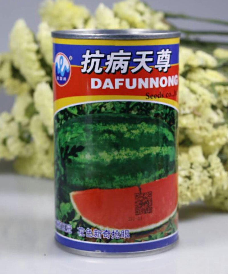 特大花皮长椭圆抗病天尊西瓜种子原装2000粒包邮