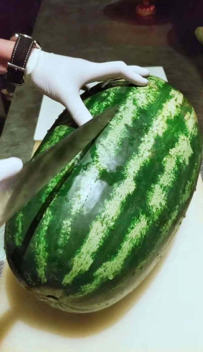 特大花皮长椭圆抗病天尊西瓜种子原装2000粒包邮