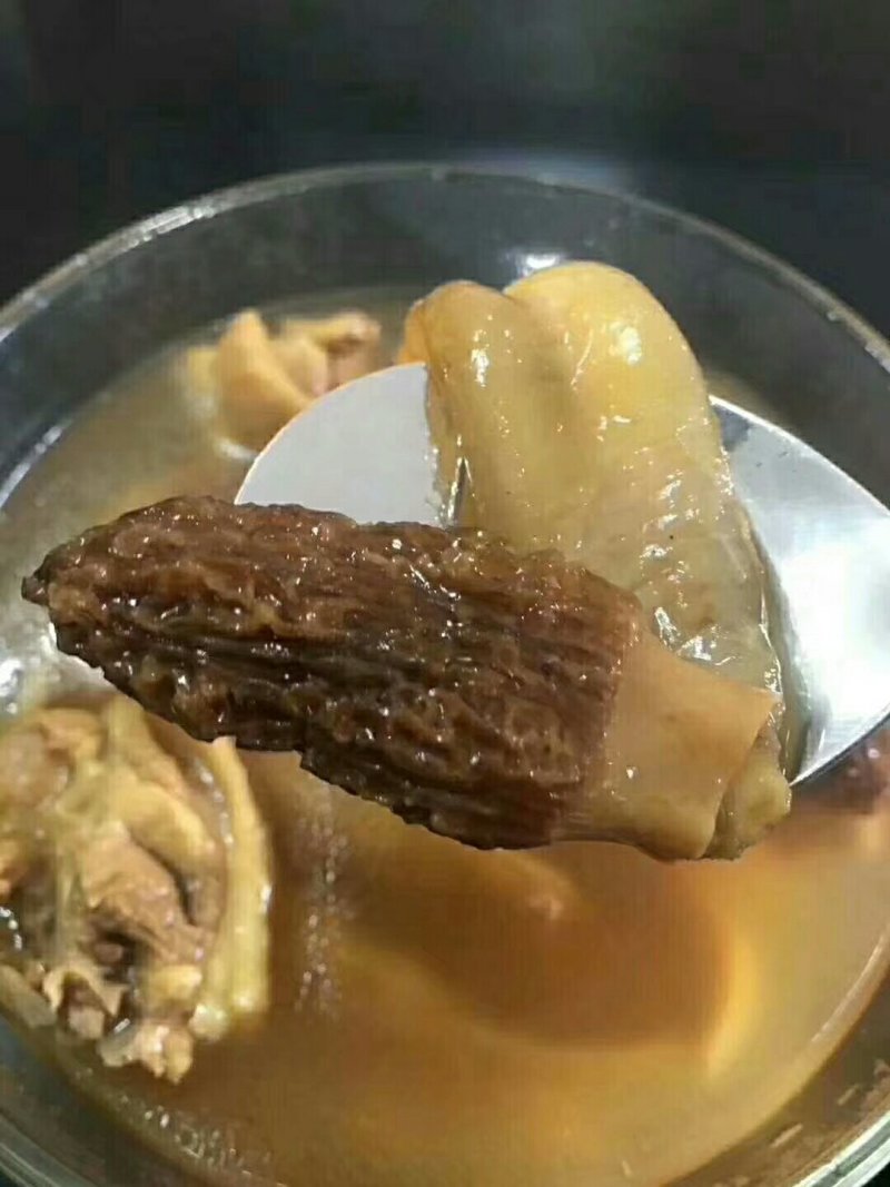 羊肚菌