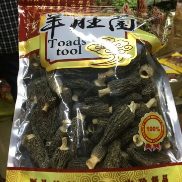 羊肚菌
