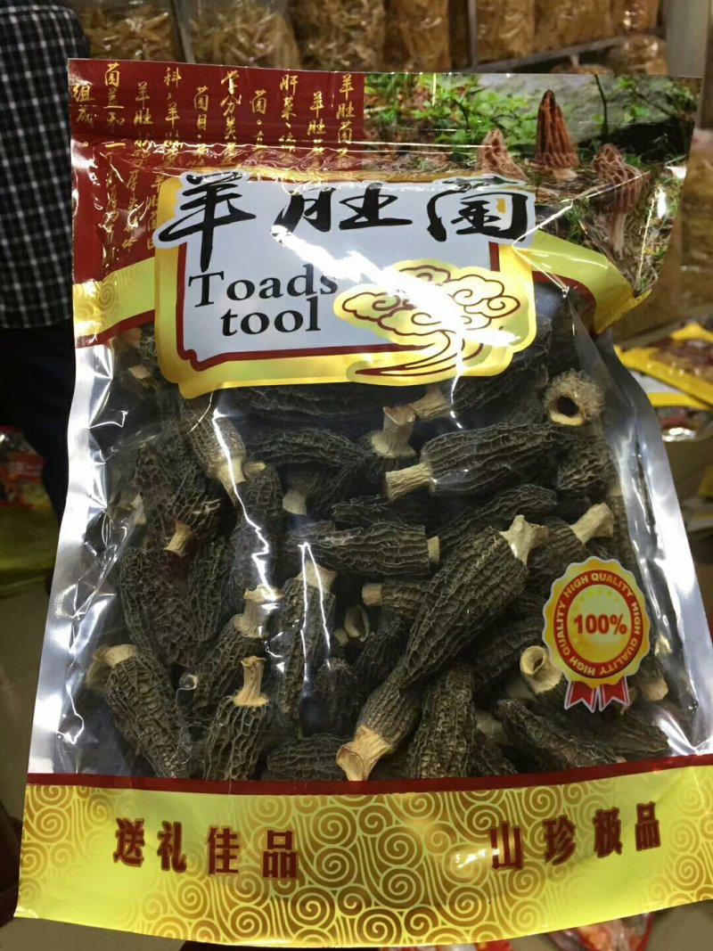 羊肚菌