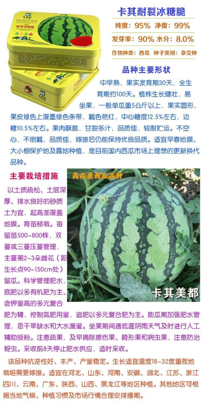美都耐裂冰糖脆高糖瓤红甜脆西瓜种子