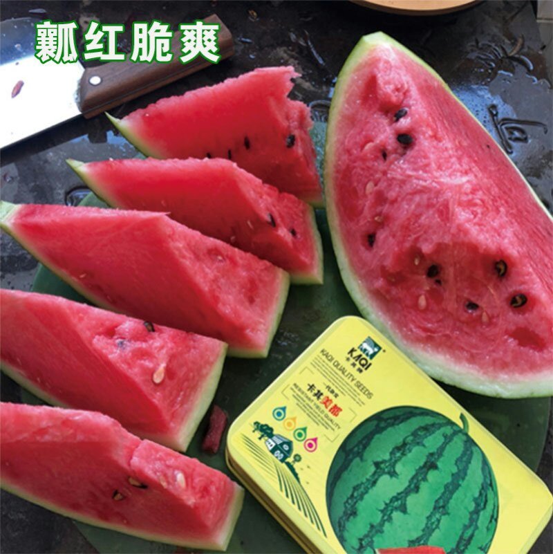美都耐裂冰糖脆高糖瓤红甜脆西瓜种子