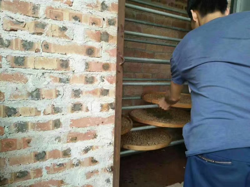 广东高州龙眼肉桂圆干肉《产地直销》圆肉