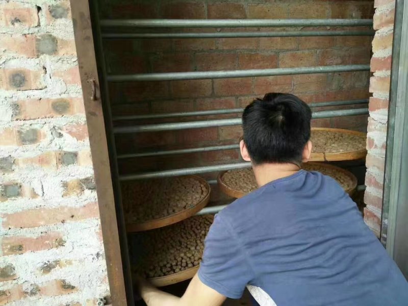 广东高州龙眼肉桂圆干肉《产地直销》圆肉