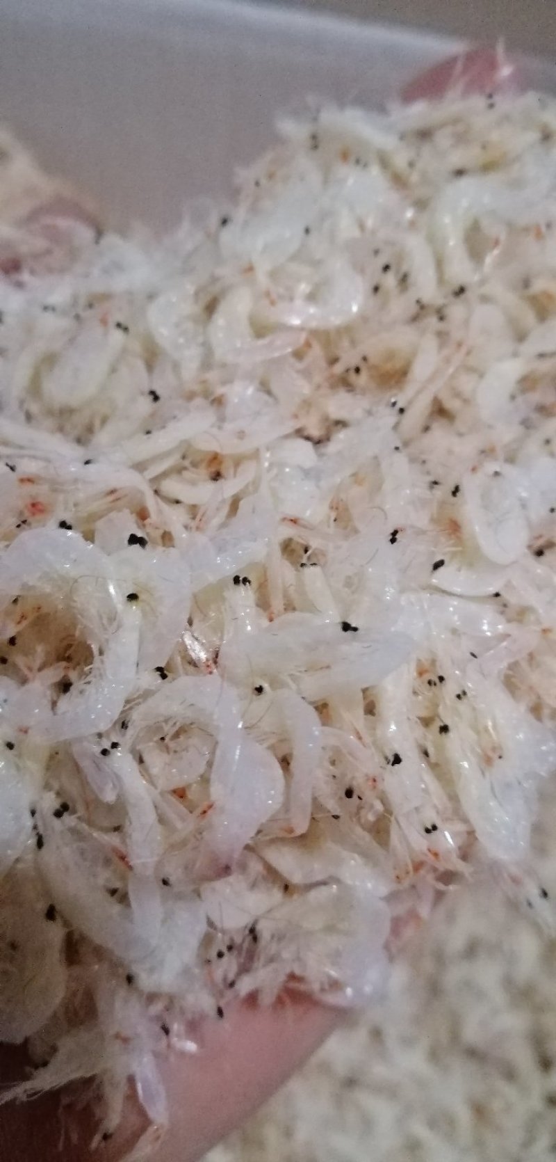 虾皮