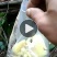 纯野生蜂蜜