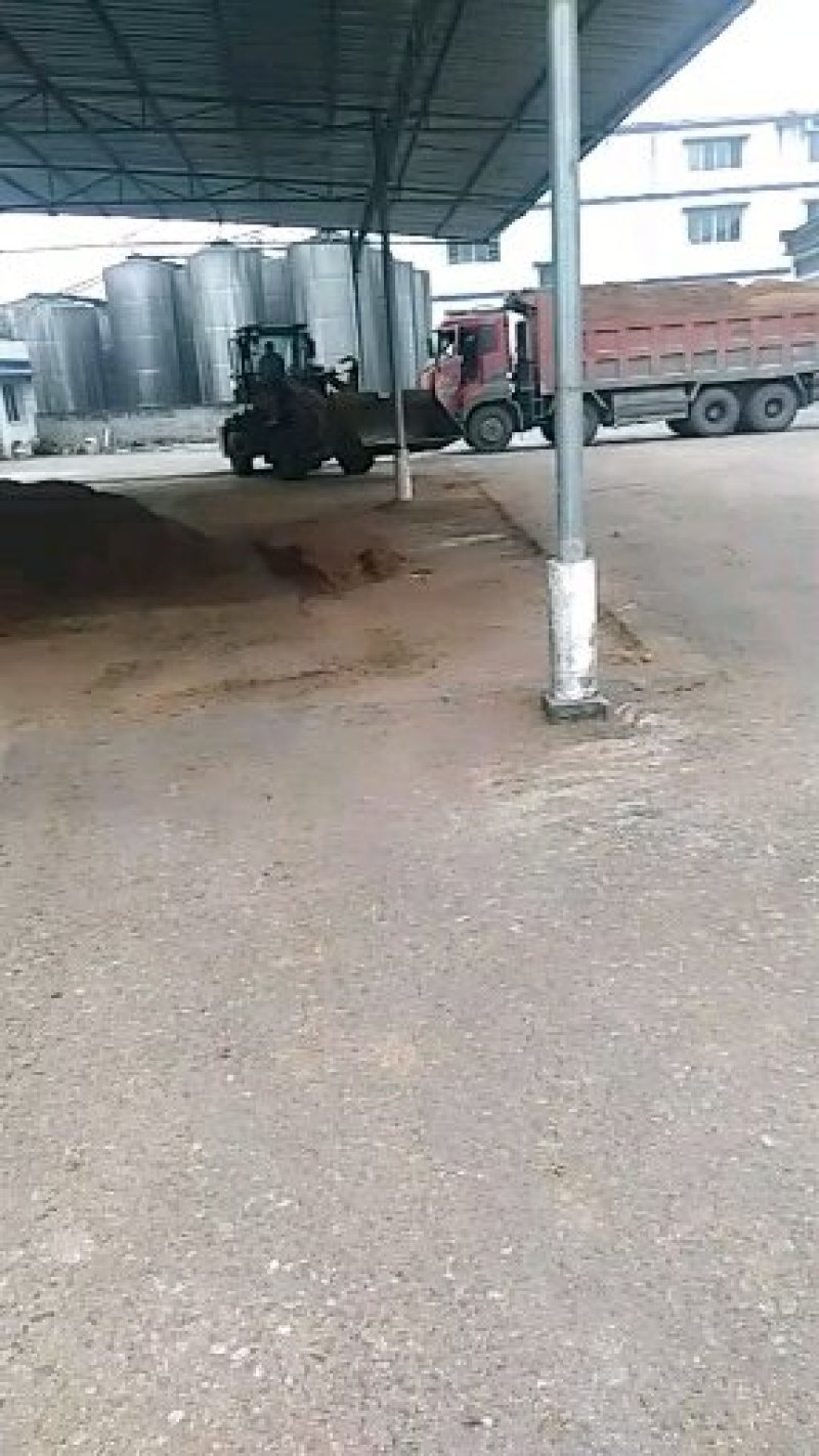 酒糟