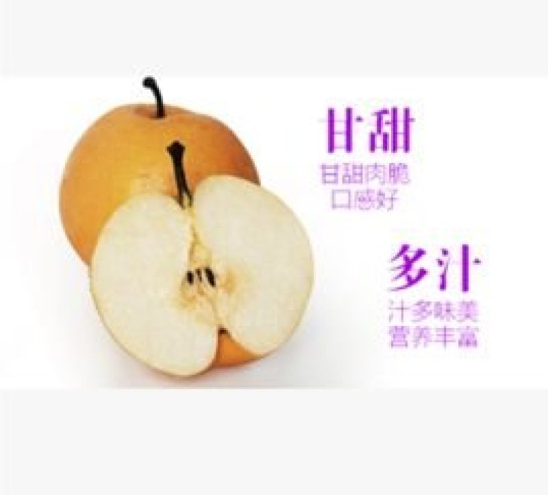 秋月梨