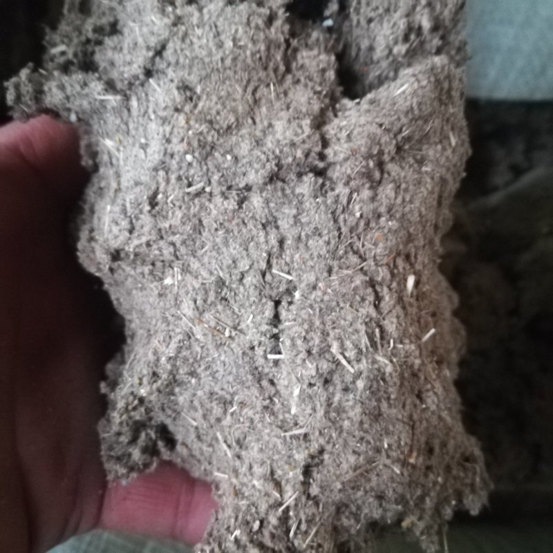 艾条艾柱