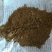 天津港口新进进口鱼粉，美国鱼粉，鱼排粉，渤海湾脱脂鱼粉