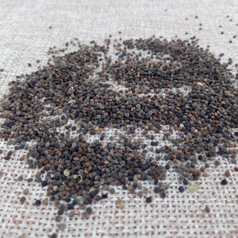 白花菜子别名臭菜、臭花菜，白花菜籽等各种外用药材