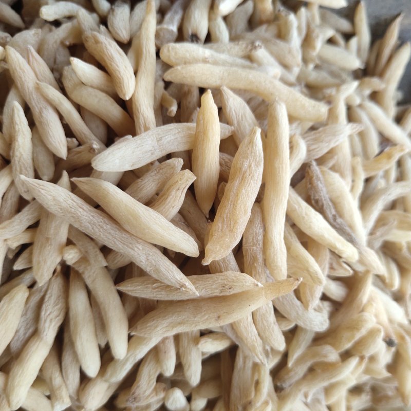 麦冬山麦冬统水洗货新货关书药业批发中药材